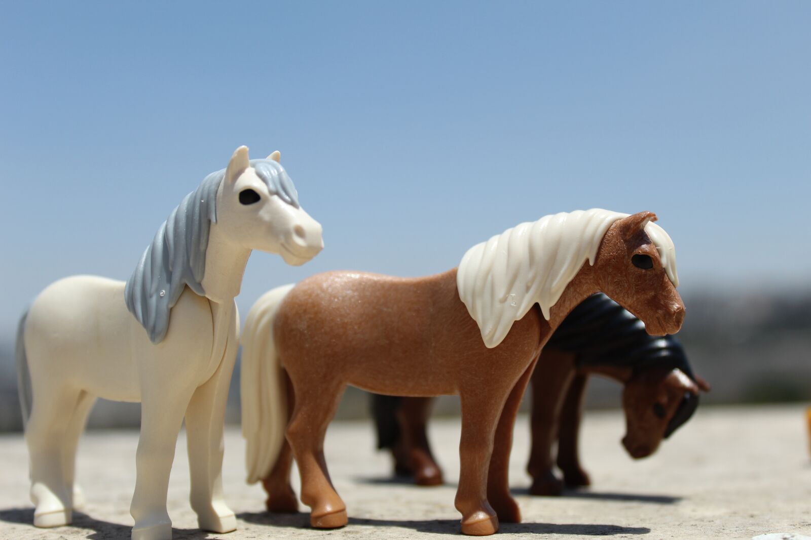 Canon EOS 4000D (EOS Rebel T100 / EOS 3000D) sample photo. Horses, playmobil, toys photography