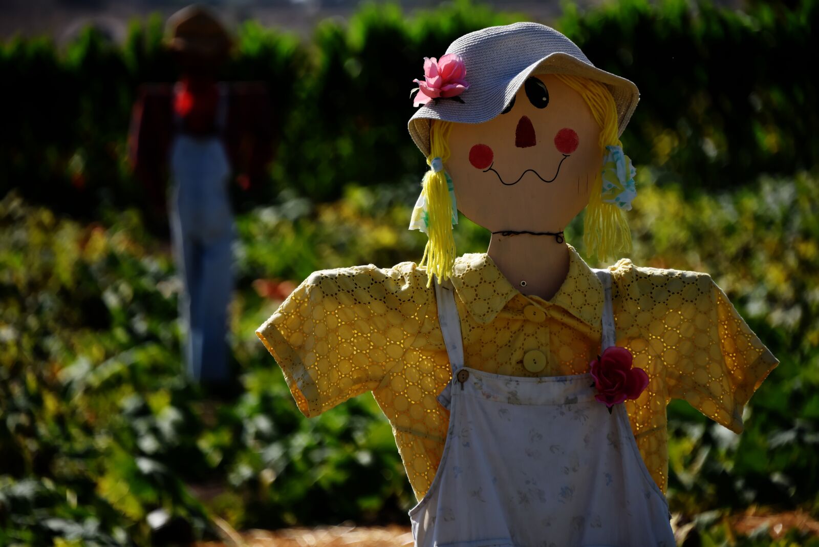 Nikon D750 sample photo. Scarecrow, lady, yellow photography