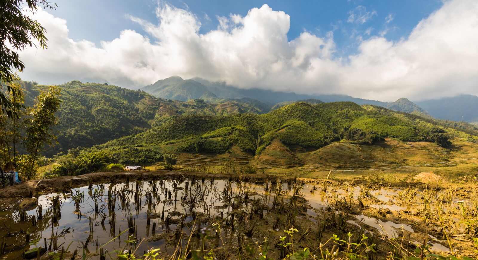 Canon EF 16-35mm F4L IS USM sample photo. Sapa, vietnam, rice fields photography