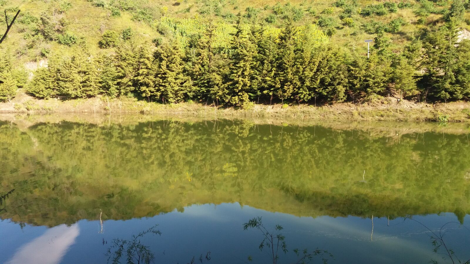 Samsung Galaxy J7 sample photo. Sunshine, creek, deep forest photography