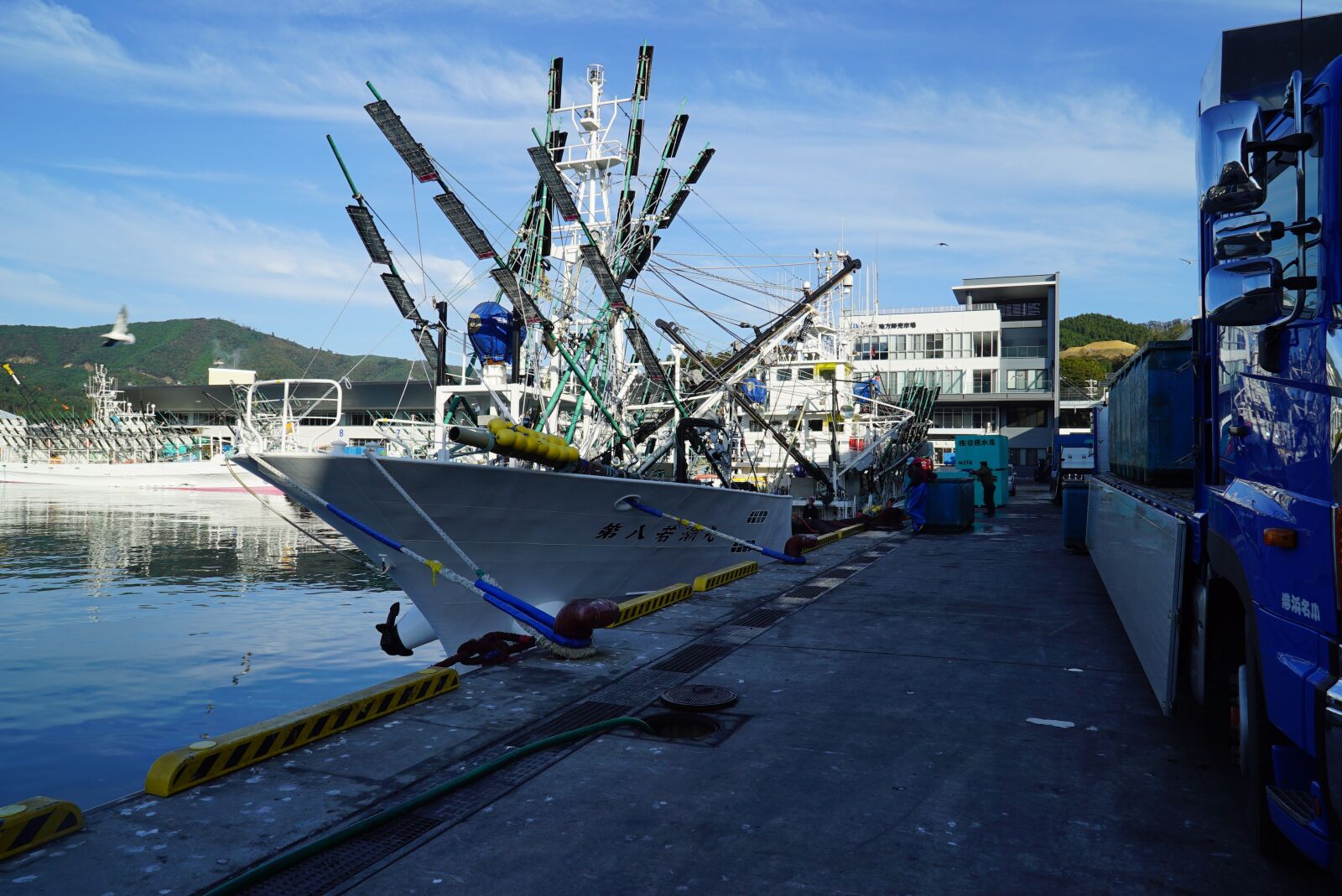 Sony a7S + Sony Vario Tessar T* FE 24-70mm F4 ZA OSS sample photo. Pacific saury, fish, fishing photography
