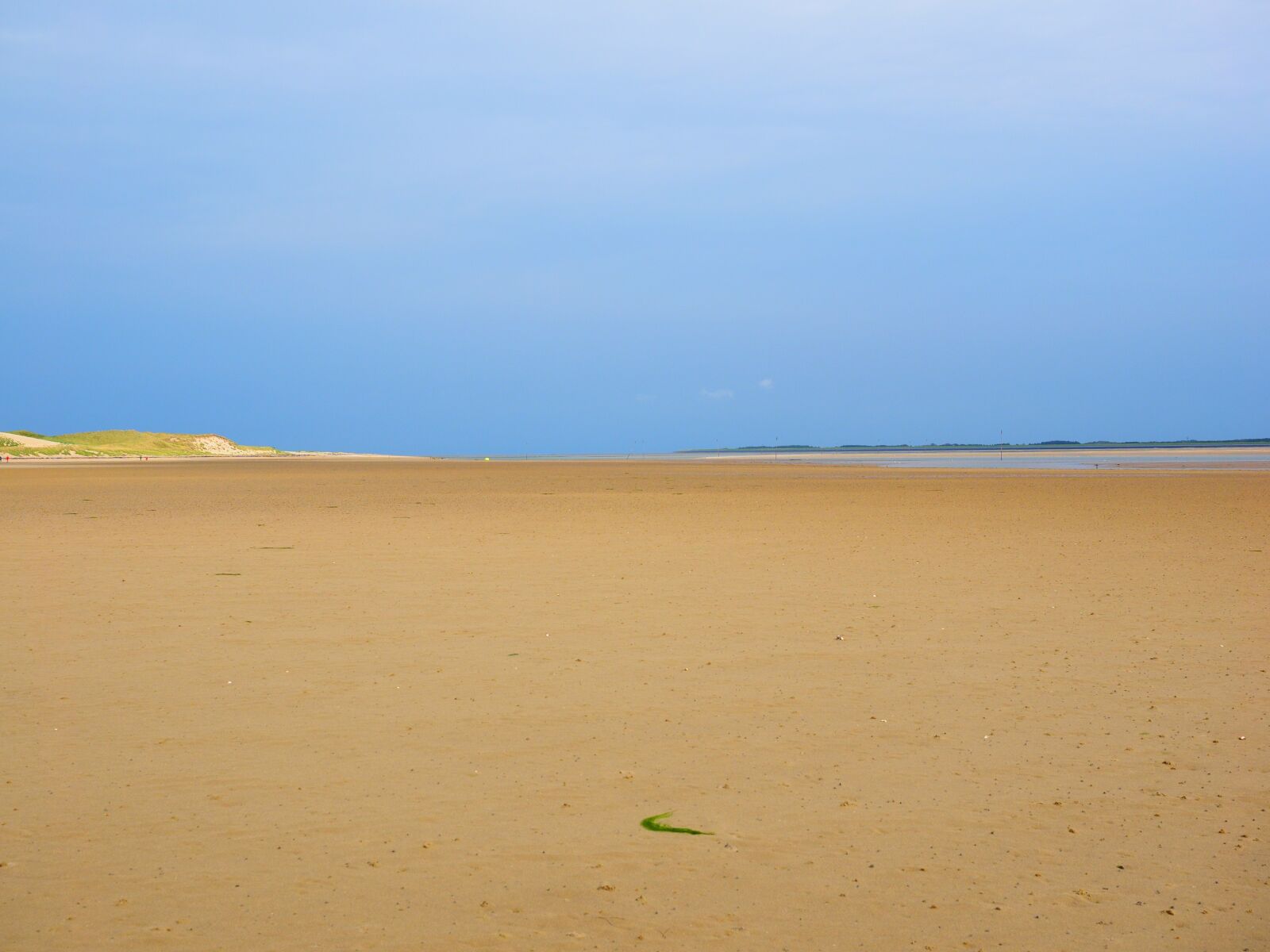 Olympus OM-D E-M1 + Olympus M.Zuiko Digital ED 12-40mm F2.8 Pro sample photo. Watts, wadden sea, sand photography