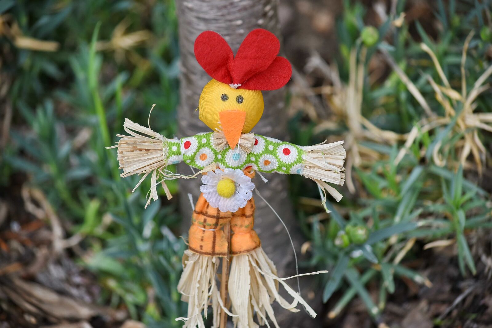 Nikon D5500 sample photo. Doll, nature, summer, leaf photography