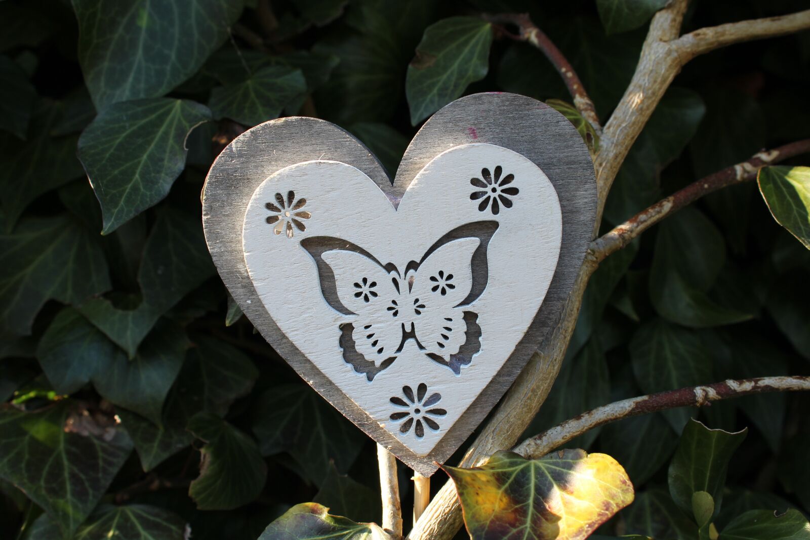 Canon EOS 1200D (EOS Rebel T5 / EOS Kiss X70 / EOS Hi) sample photo. Heart, love, nature photography