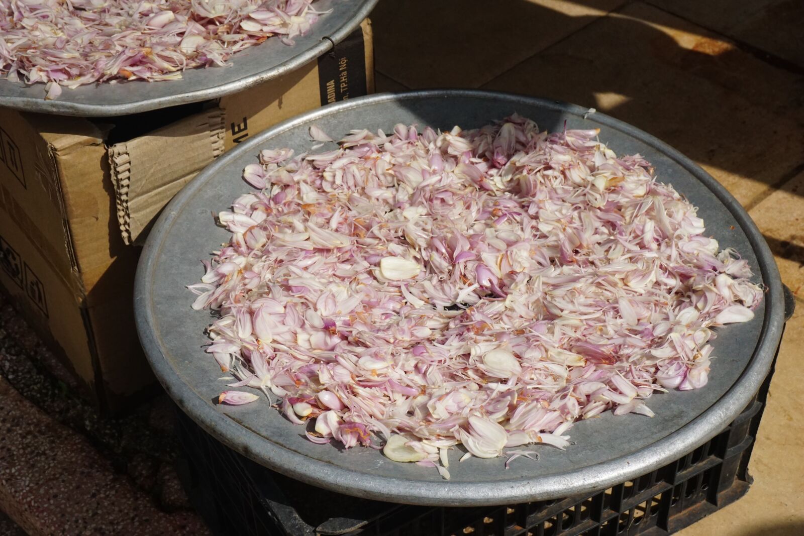 Sony a6000 sample photo. Onion, dry, vietnam photography