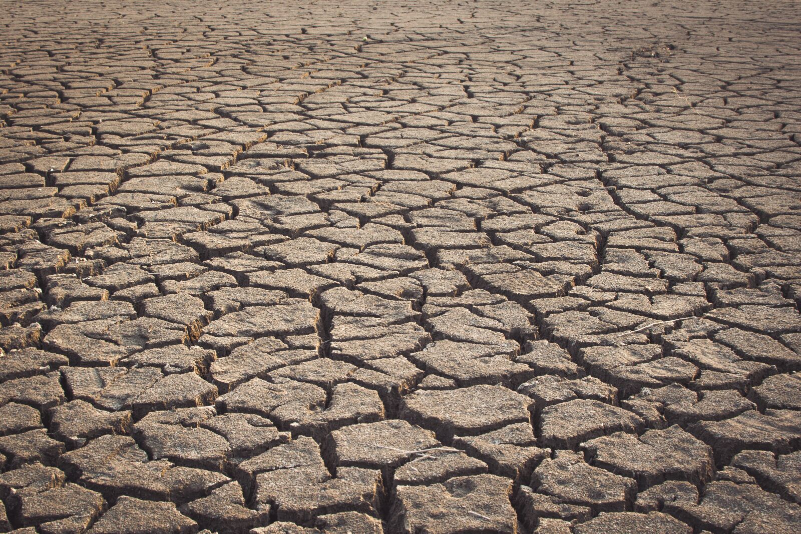 Nikon D3300 sample photo. Drought, dry, dehydrated photography