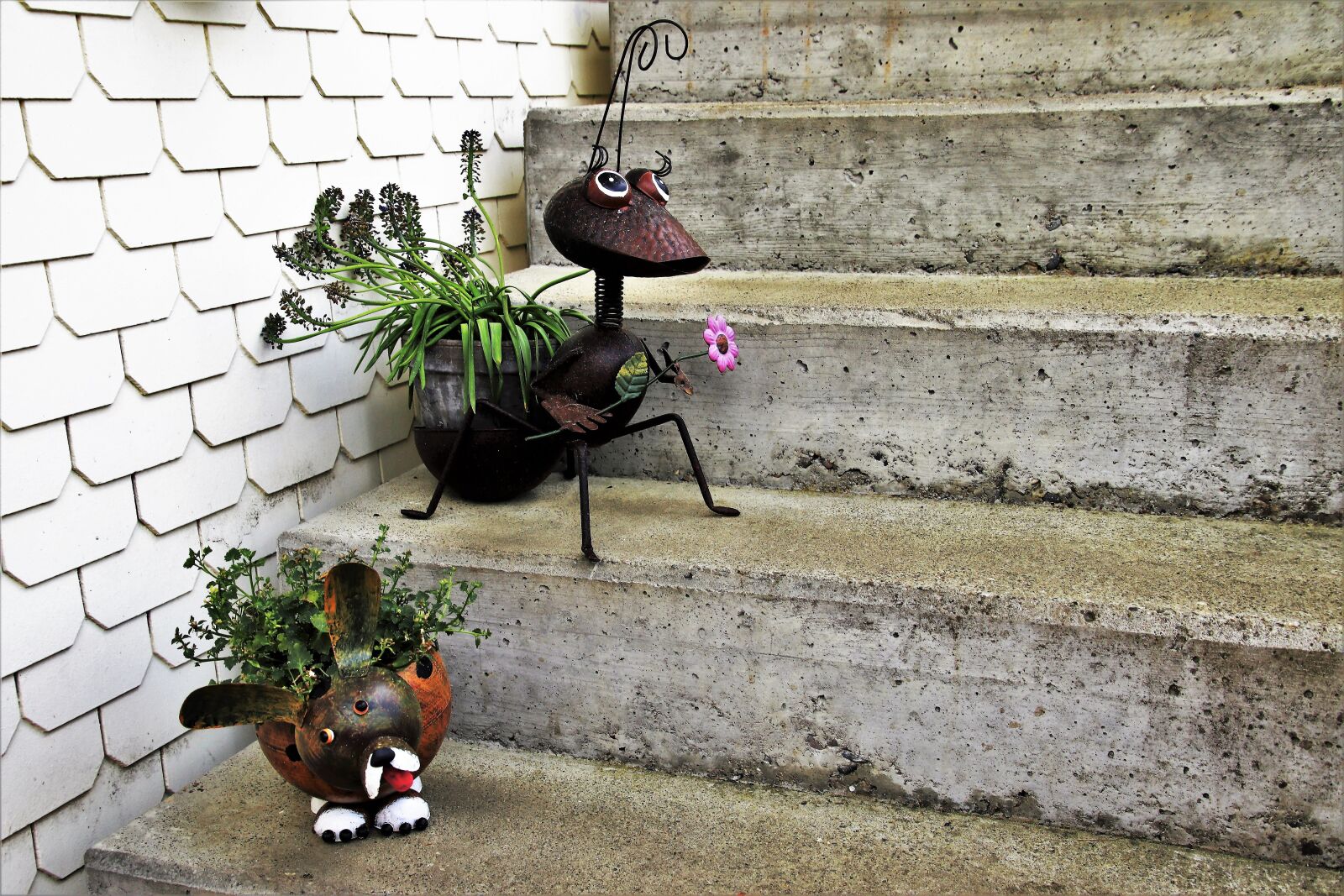 Canon EOS 80D sample photo. Stairs, pot, decorative photography