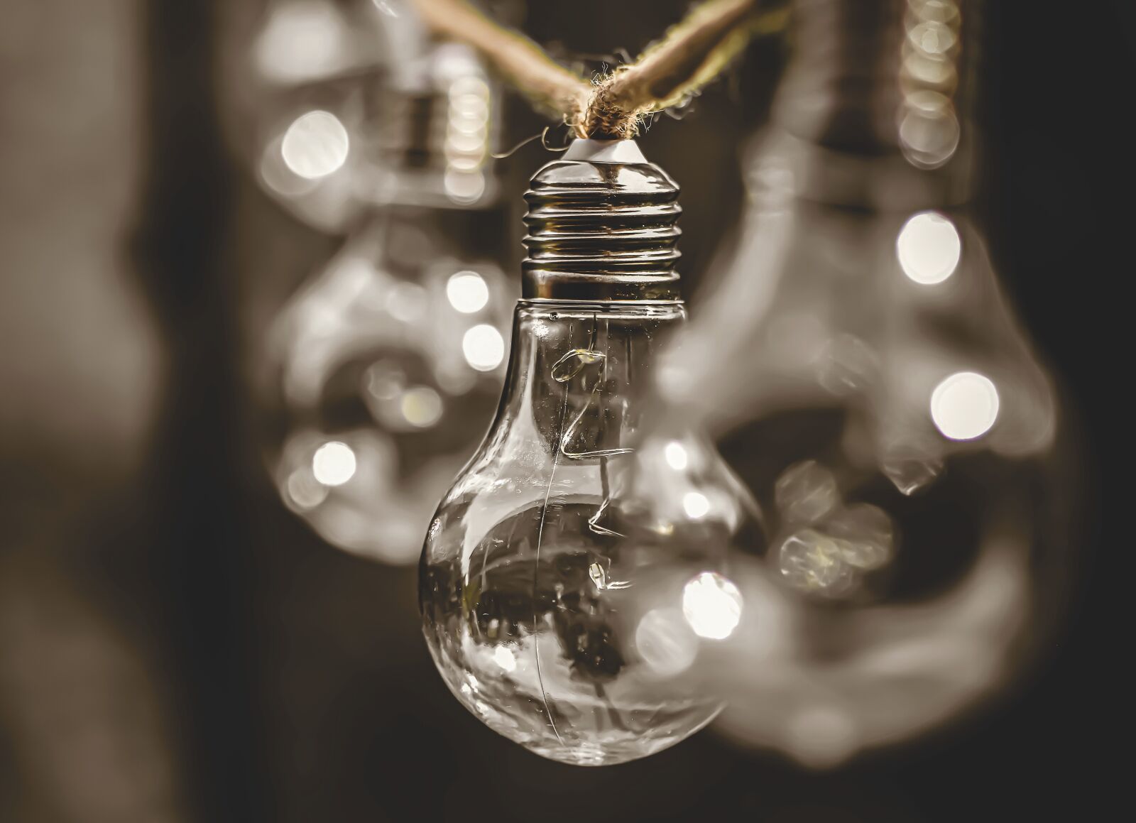 Nikon D7200 sample photo. Light bulb, energy, nature photography