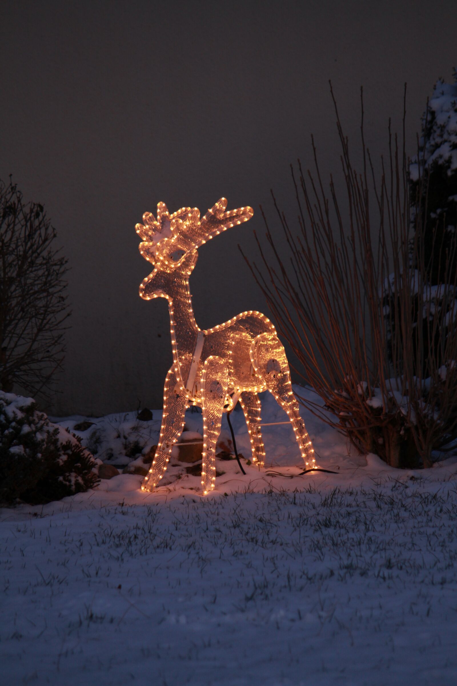 Canon EOS 7D sample photo. Reindeer, christmas, santa photography