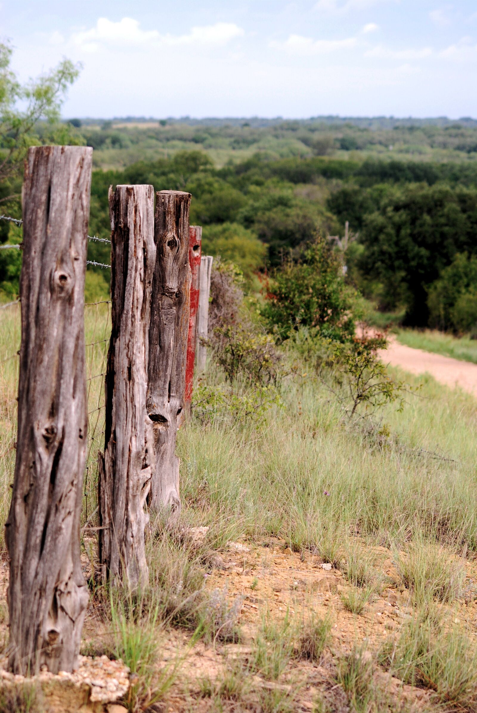 Nikon D40X sample photo. Fence, landscape, texas photography