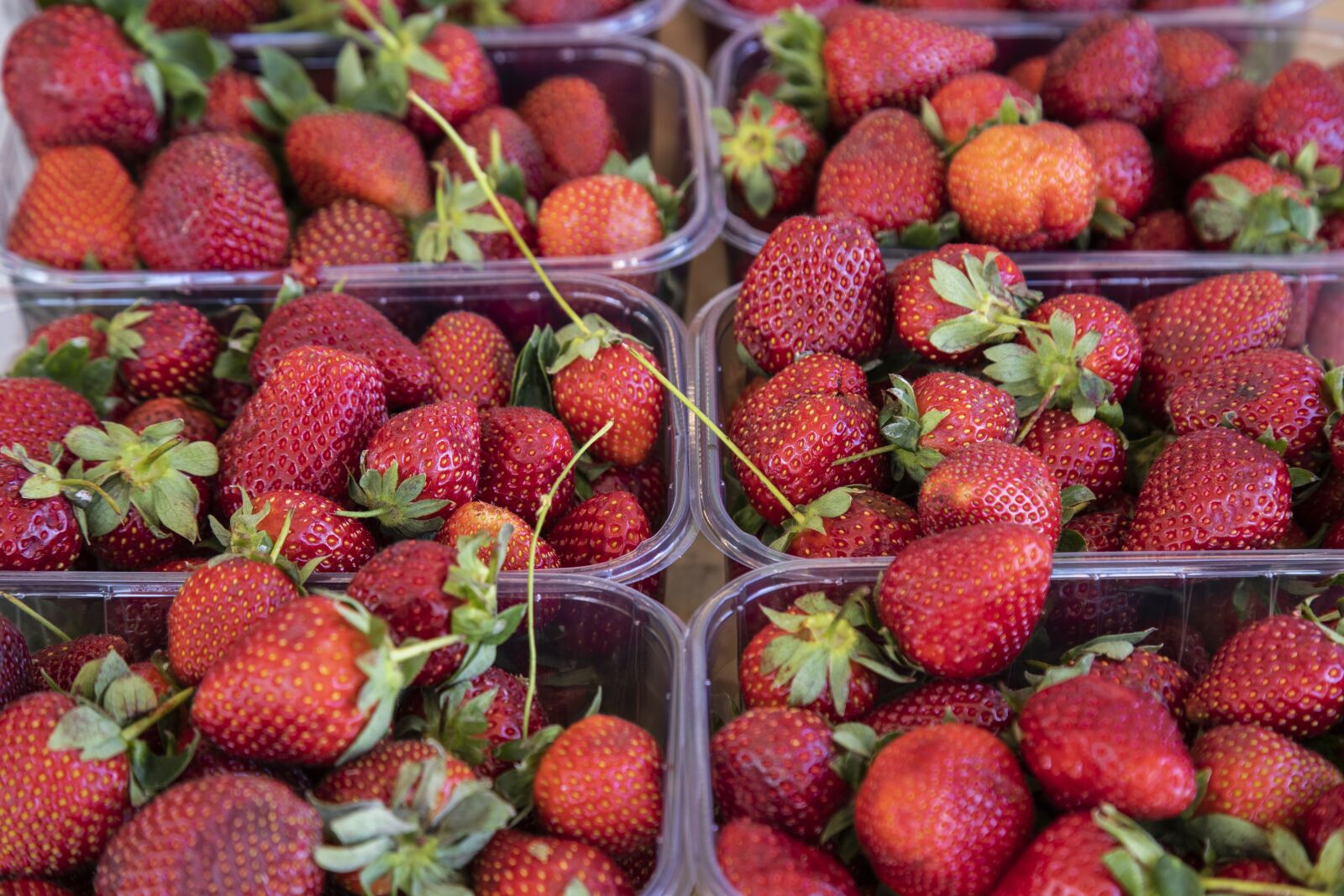 Canon EOS 5D Mark IV sample photo. Strawberry, red, fruit photography