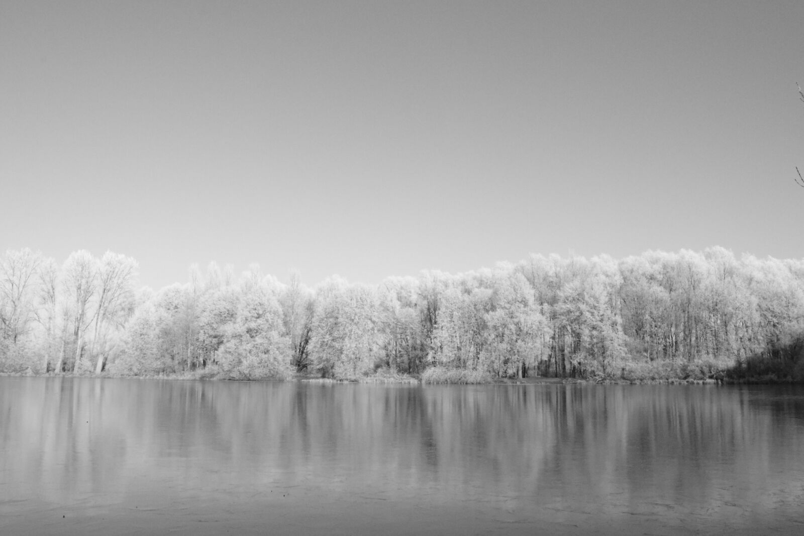 Nikon D3300 sample photo. Delmenhorst, graft, mili photography