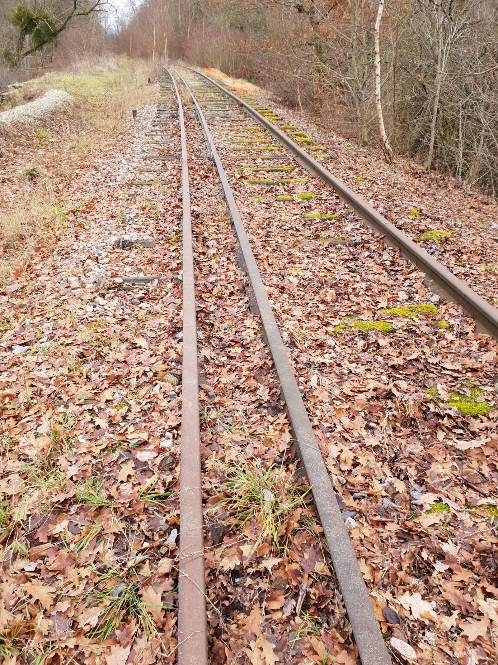 Samsung SM-G960F sample photo. Rails, railway, track photography