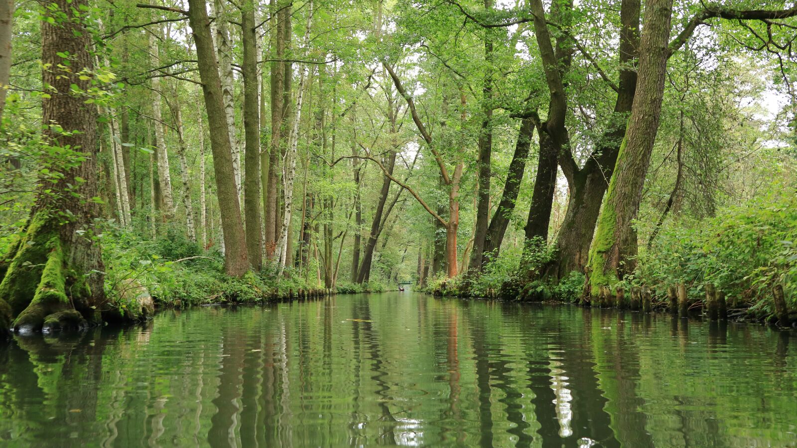 Canon EOS 80D sample photo. Spreewald, water, channel photography