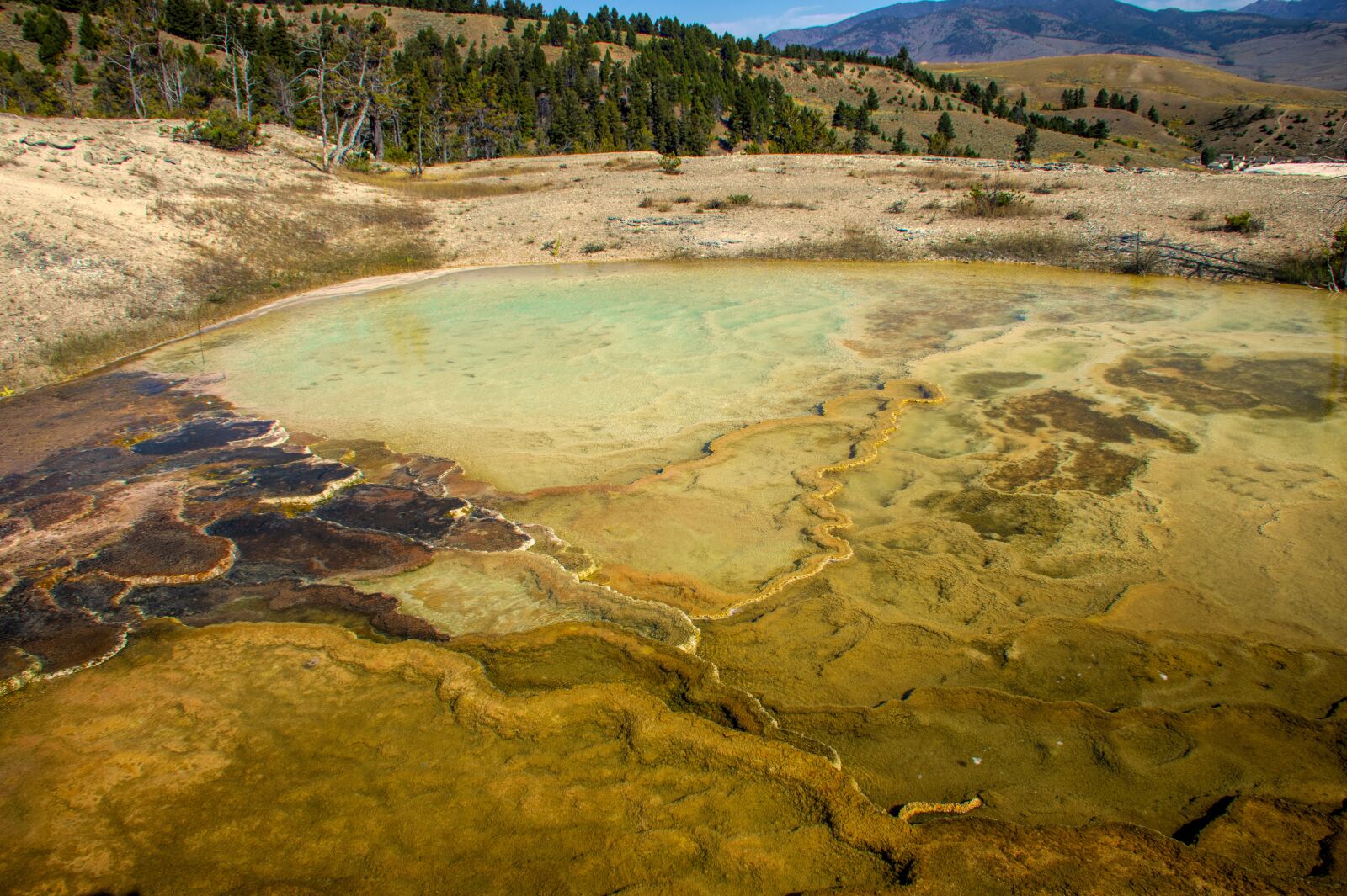 Nikon D850 sample photo. Yellowstone, thermals, park photography