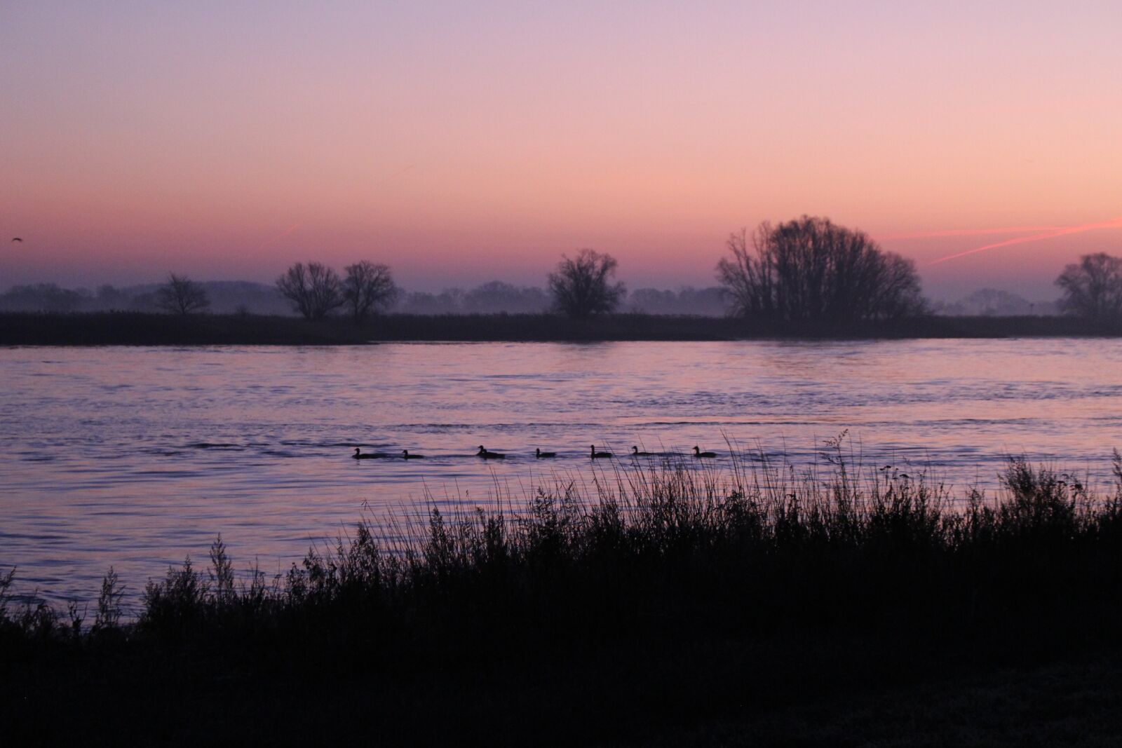 Canon EOS 100D (EOS Rebel SL1 / EOS Kiss X7) sample photo. Elbe, sunrise, geese photography