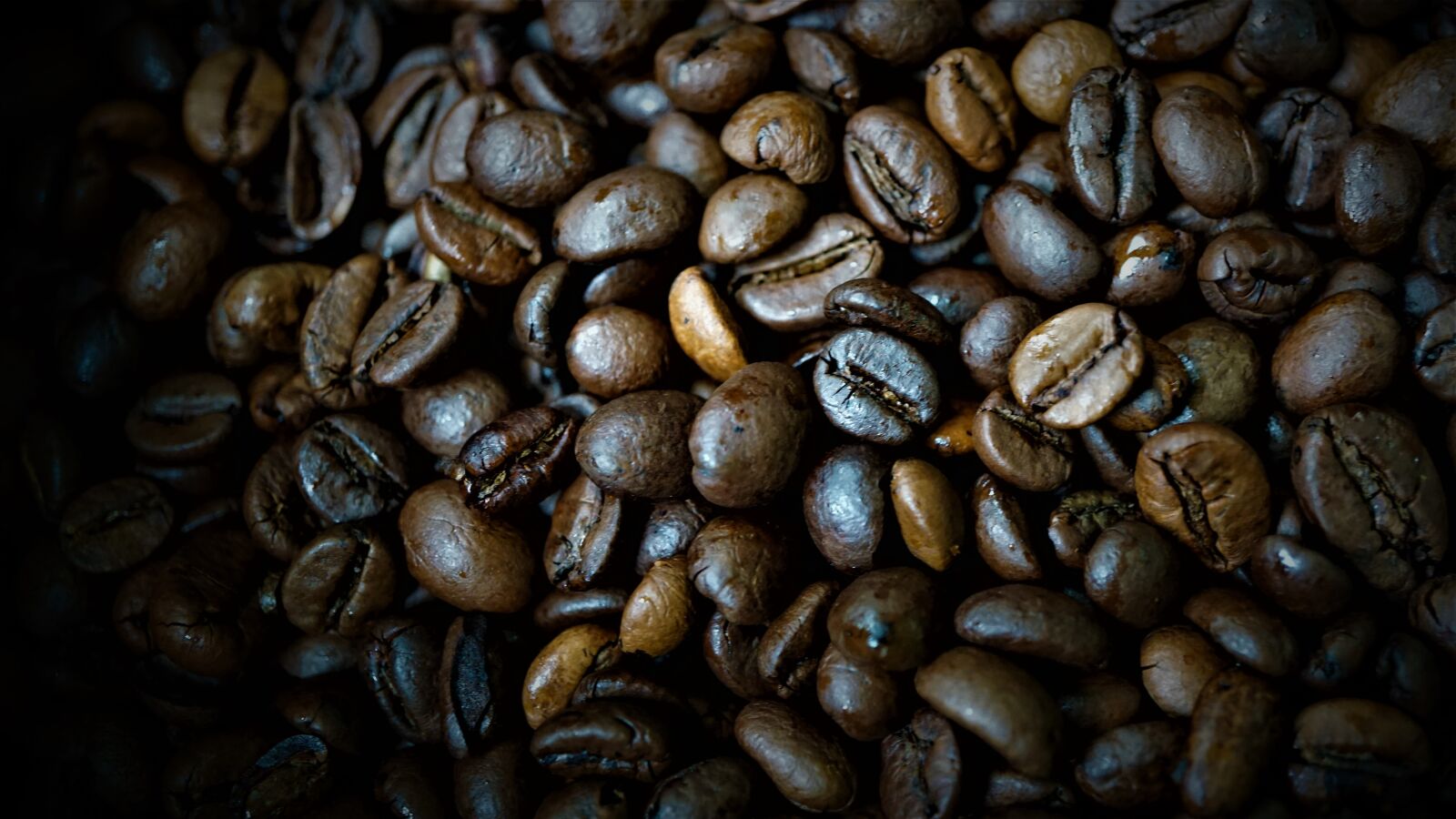 Sony a6000 + Sony E 30mm F3.5 Macro sample photo. Coffee beans, background, kitchen photography