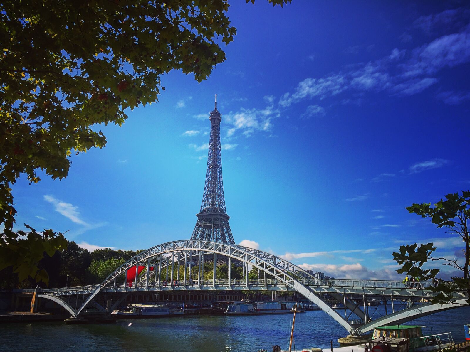 Apple iPhone 6 sample photo. Paris, france, trees photography