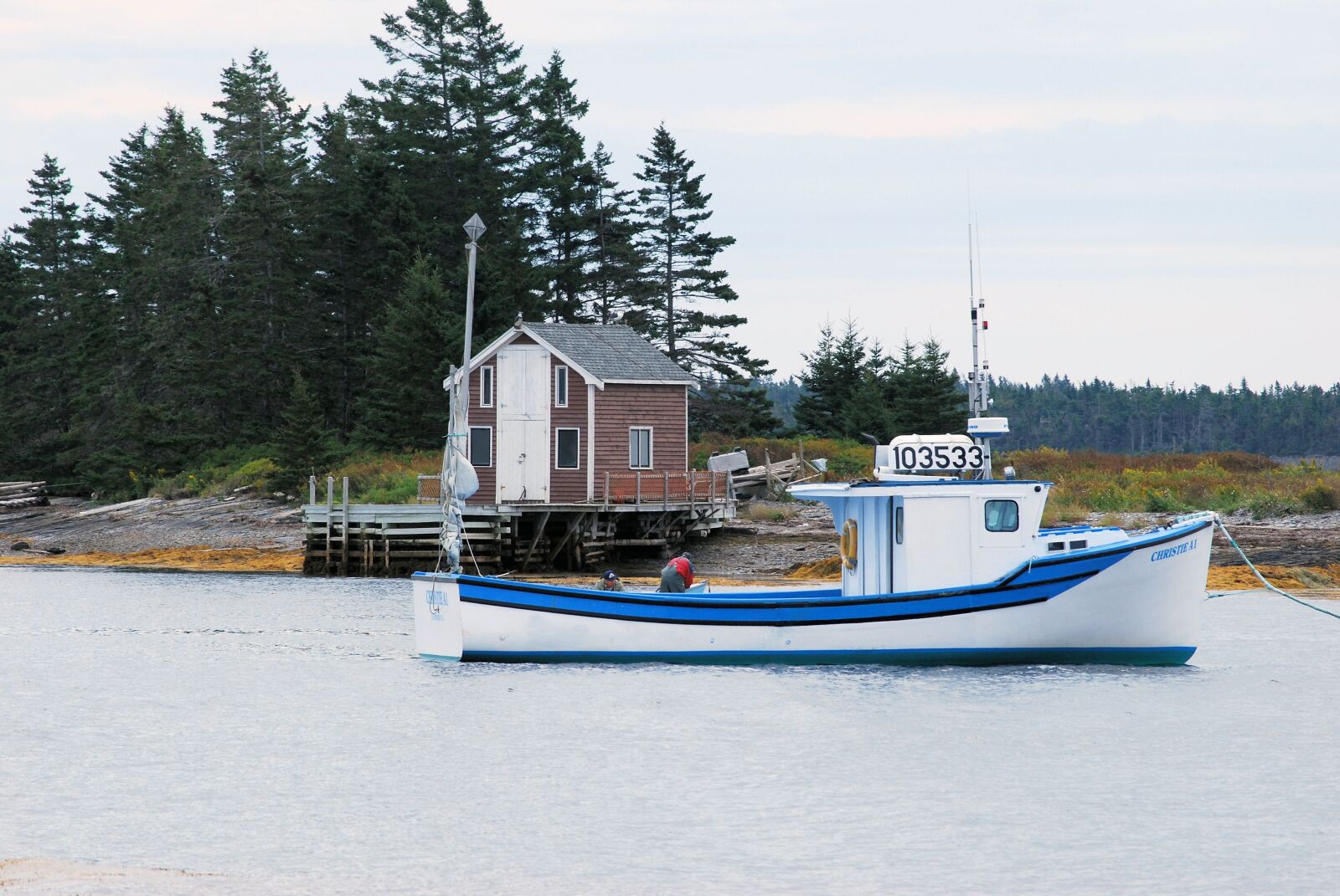 Nikon D60 sample photo. Nova scotia, ns, nova photography