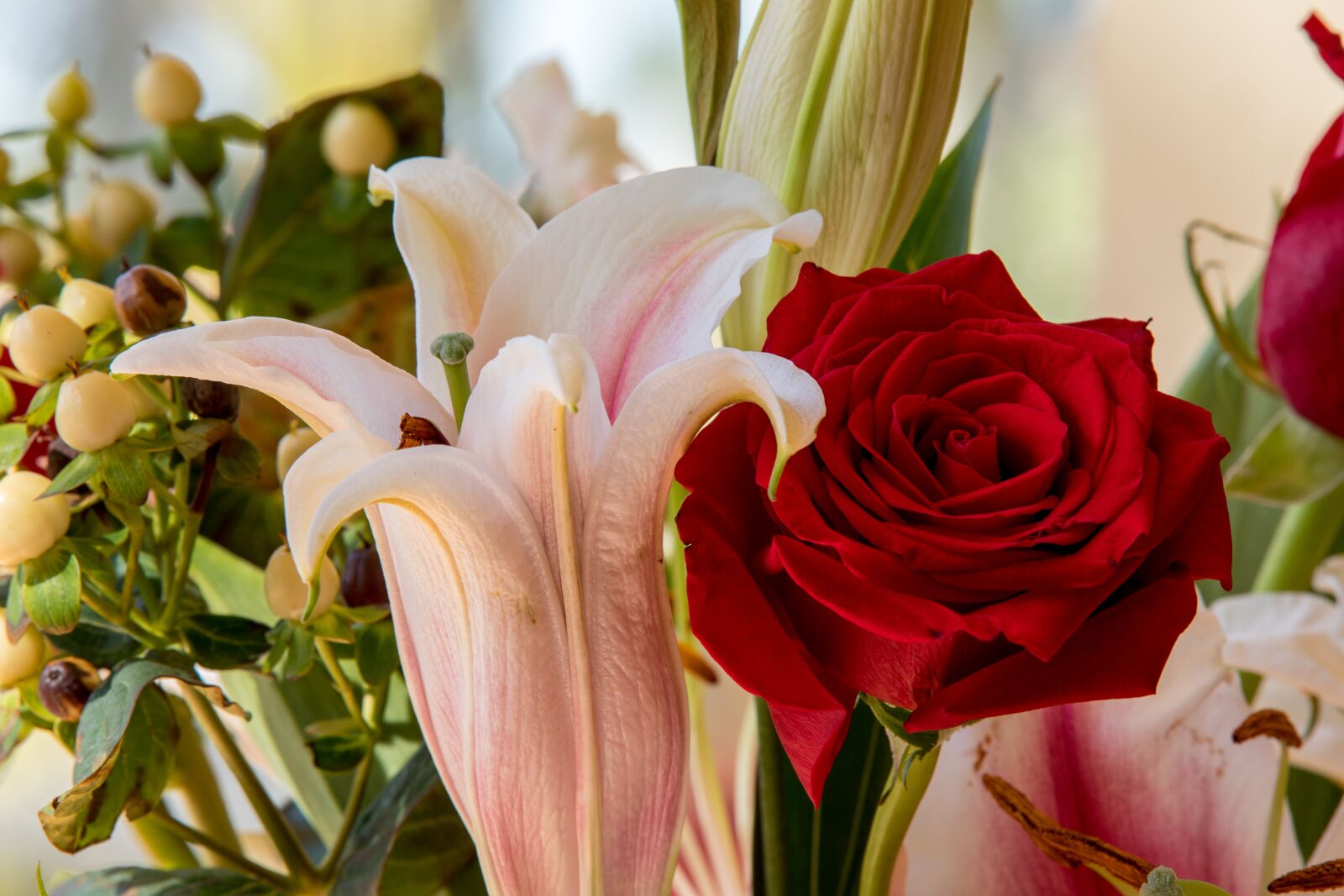 Canon EOS 5D Mark IV sample photo. Flower, floral, flora photography