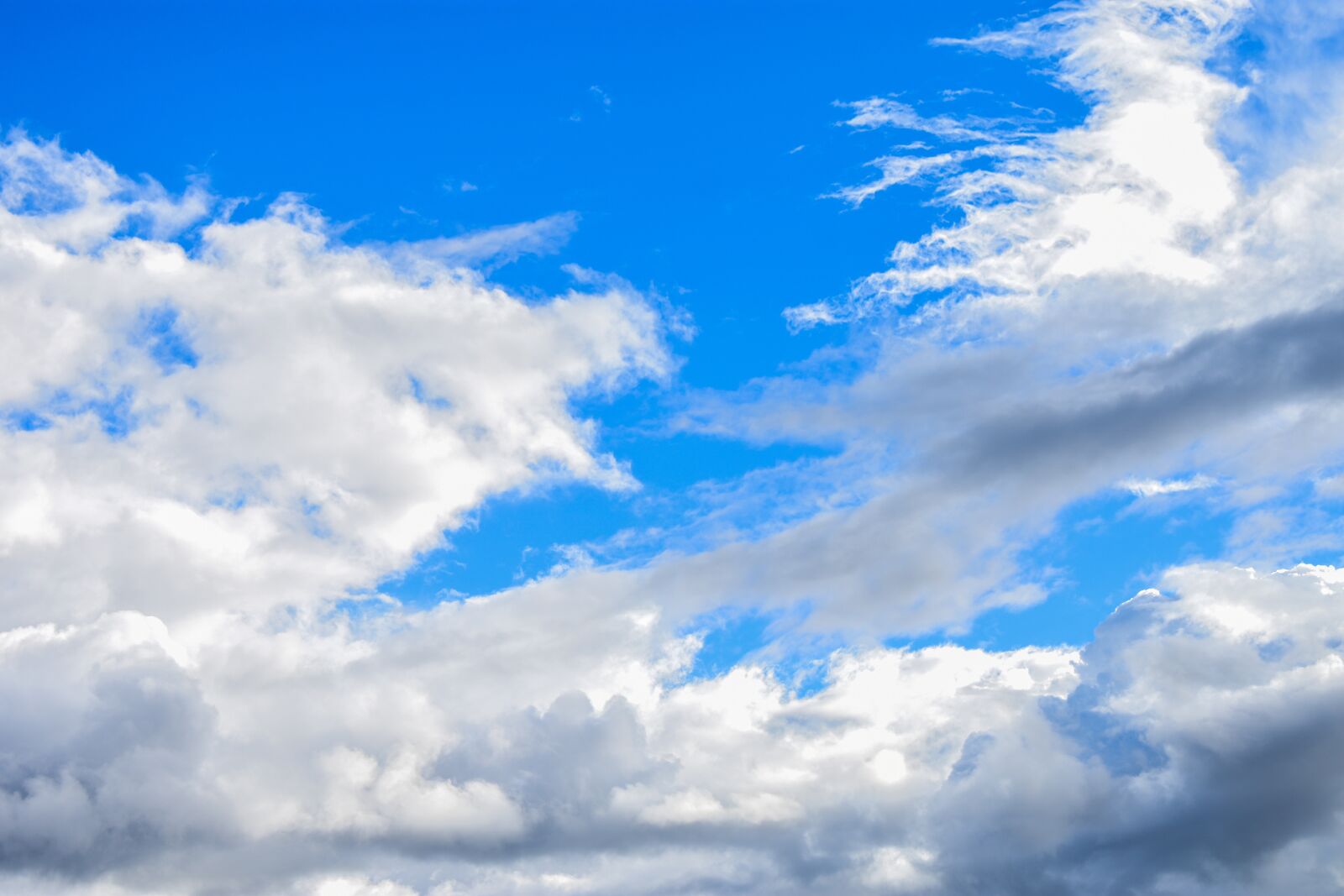 Nikon D3400 sample photo. Nature, summer, cloud cover photography