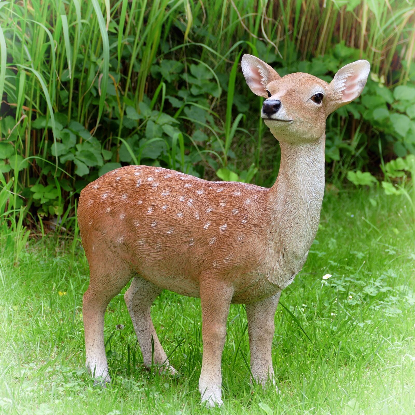 Panasonic Lumix DMC-FZ1000 sample photo. Fawn, roe deer, decoration photography