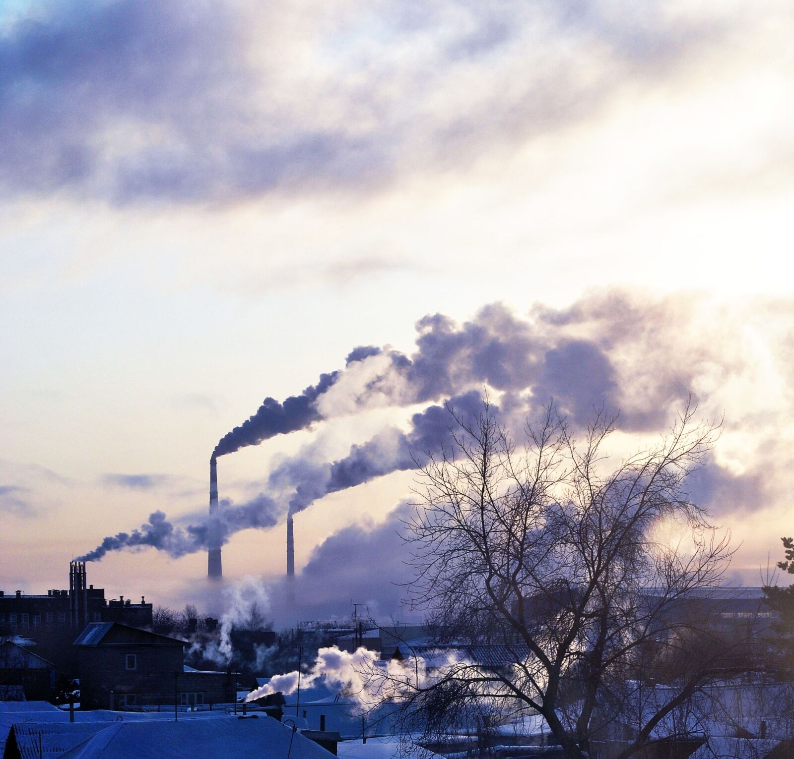 Nikon D3000 sample photo. Plants, smoke, landscape photography