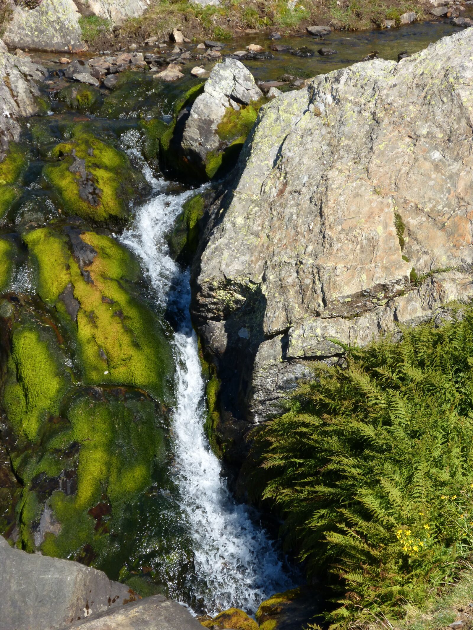 Panasonic DMC-FZ62 sample photo. Waterfall, cataract, moss photography