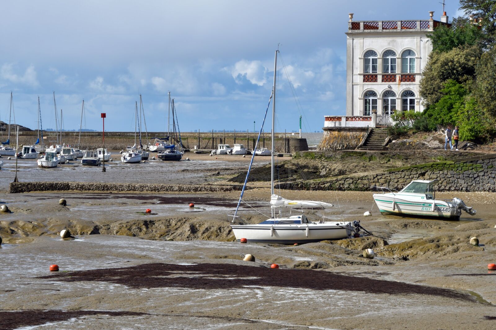Nikon D500 sample photo. Port, marina, house photography