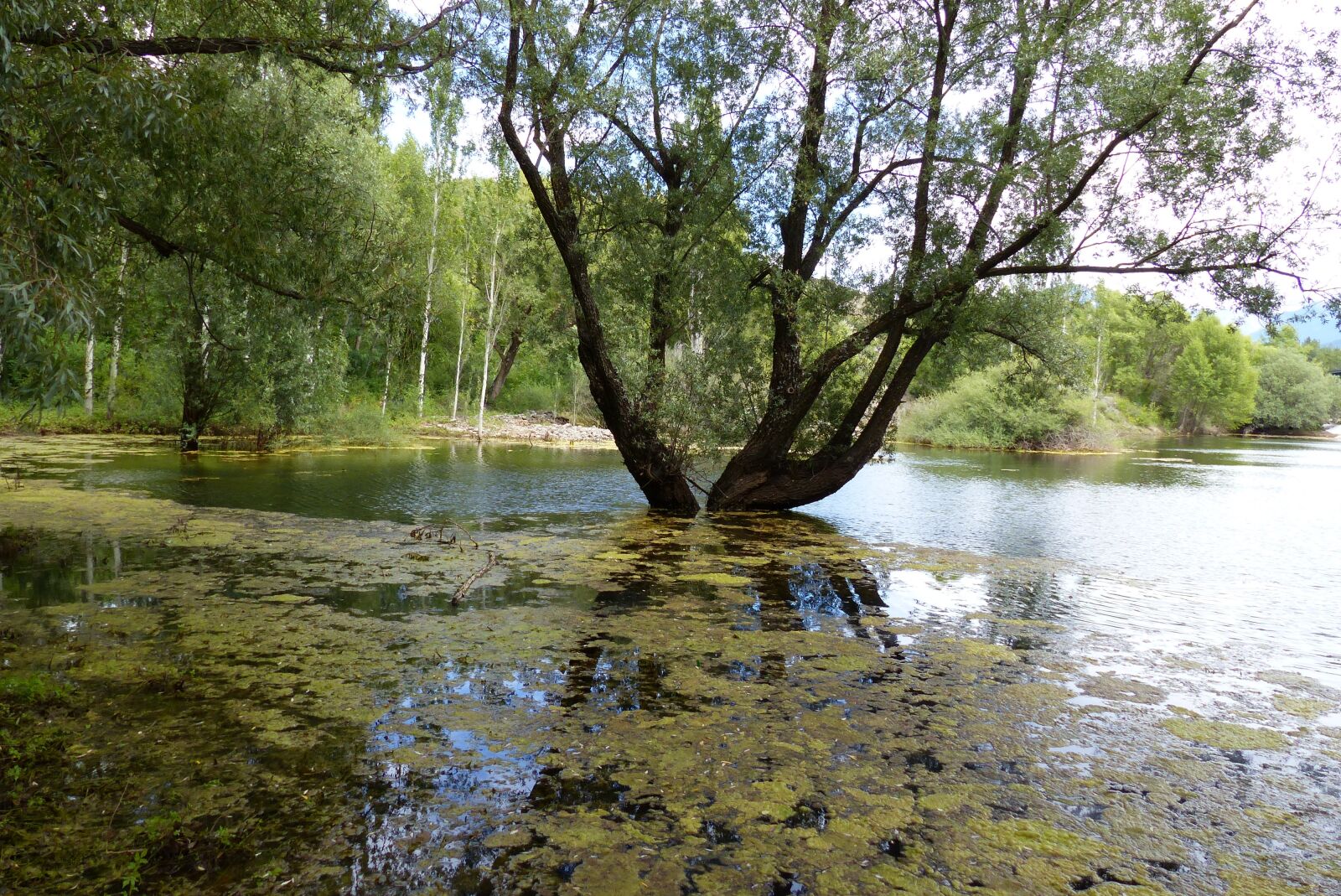 Panasonic Lumix DMC-FZ200 sample photo. Landscapes, nature, water photography