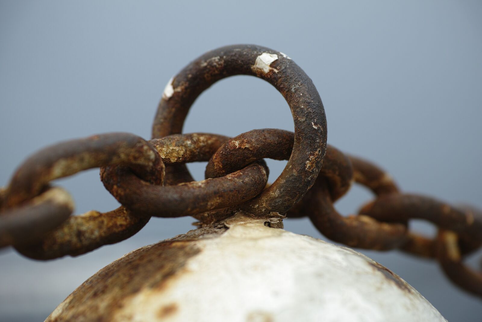 Sigma DP3 Merrill sample photo. Chain, rusty, macro photography
