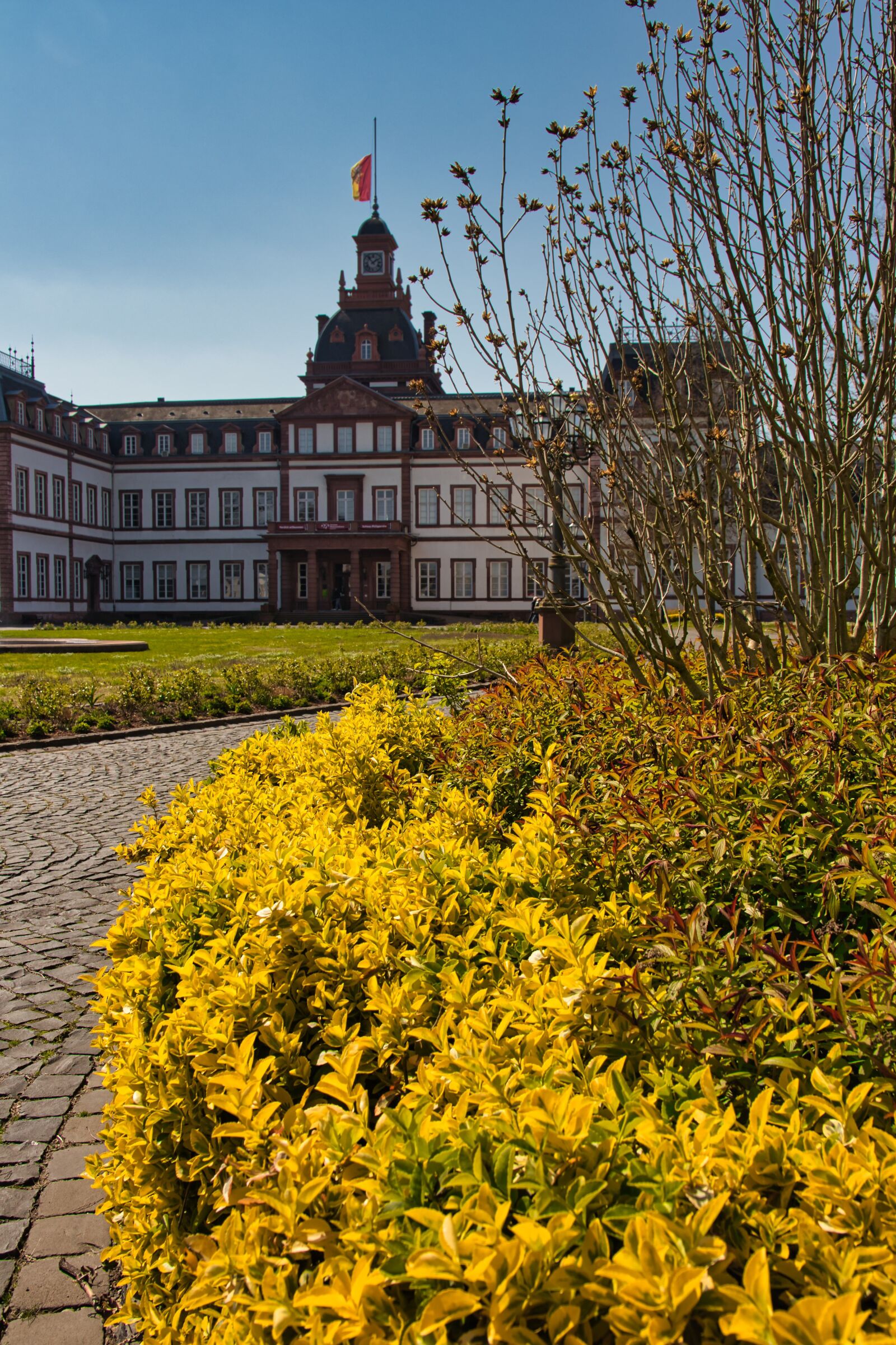 Canon EOS 77D (EOS 9000D / EOS 770D) sample photo. Flower, building, architecture photography