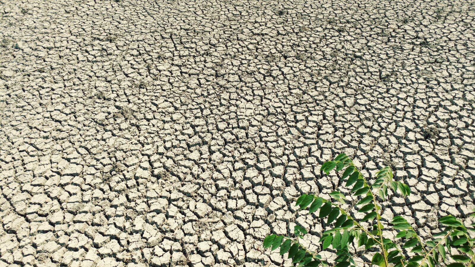 LG G5 sample photo. Dry mud, earth surface photography