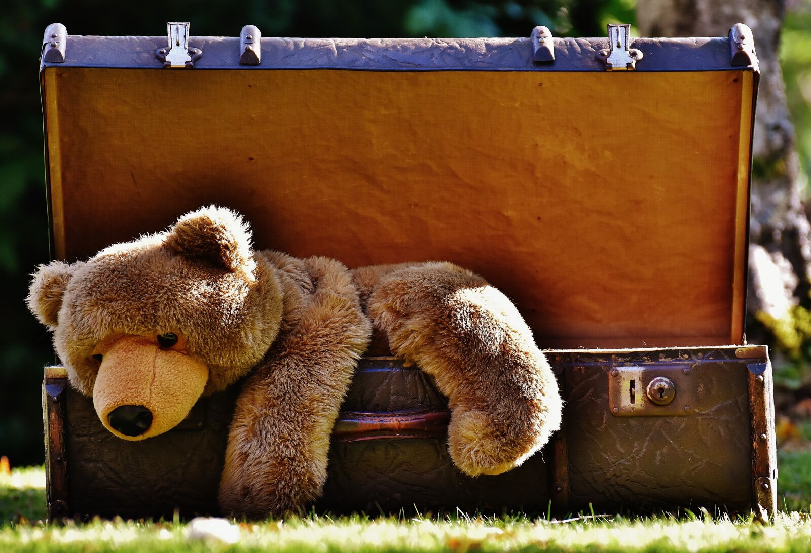 Nikon D7200 sample photo. Luggage, antique, teddy photography