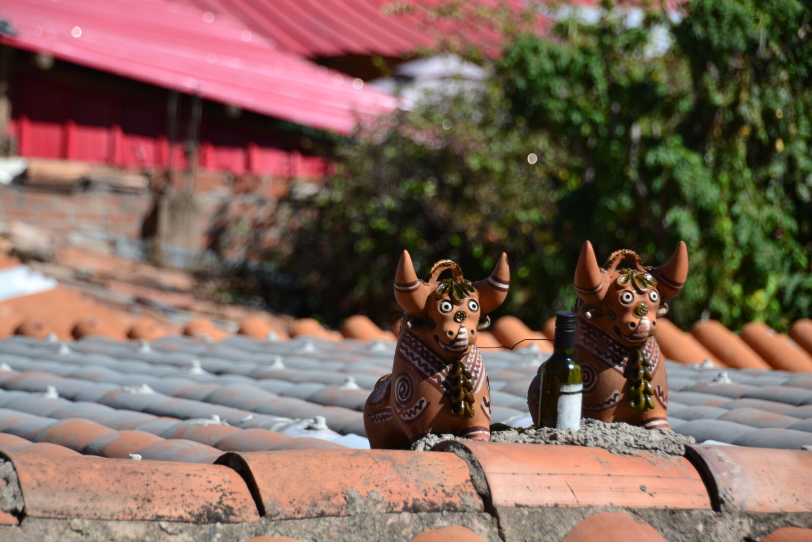 Nikon D3100 sample photo