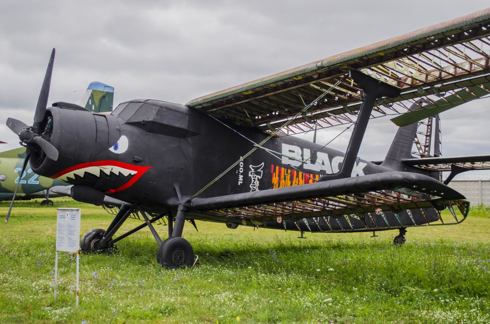 Nikon D5100 sample photo. Plane, an-2, old photography