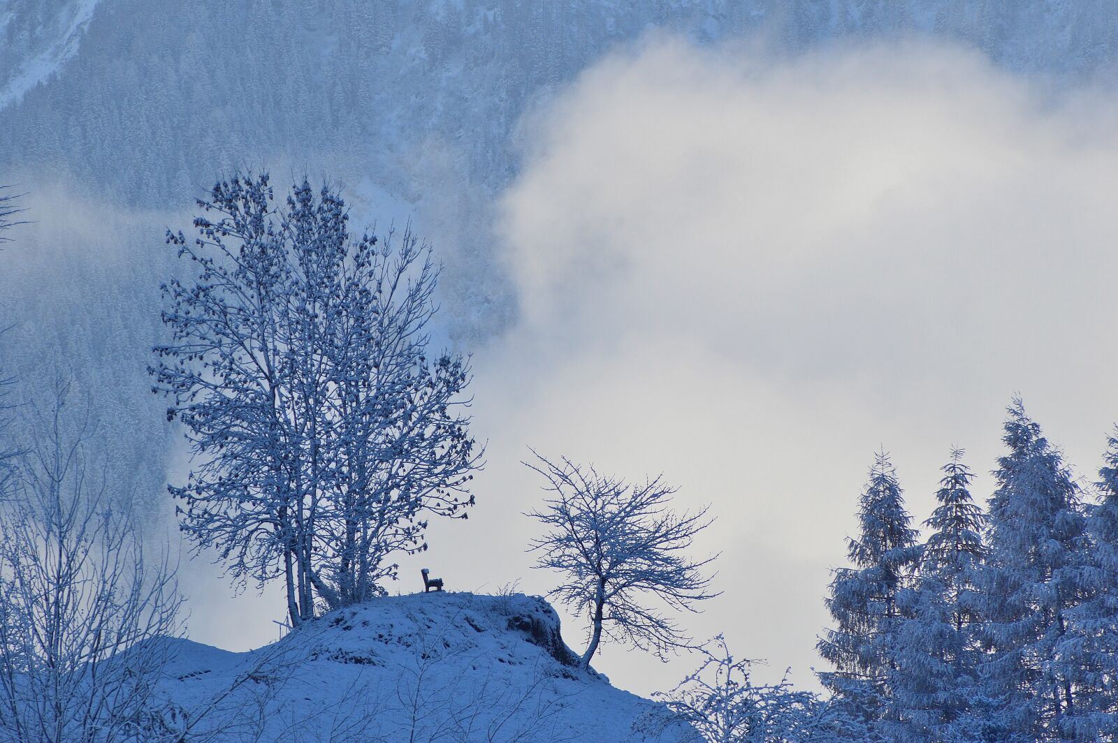 Nikon D3200 sample photo. Winter, snow, haderlehn photography