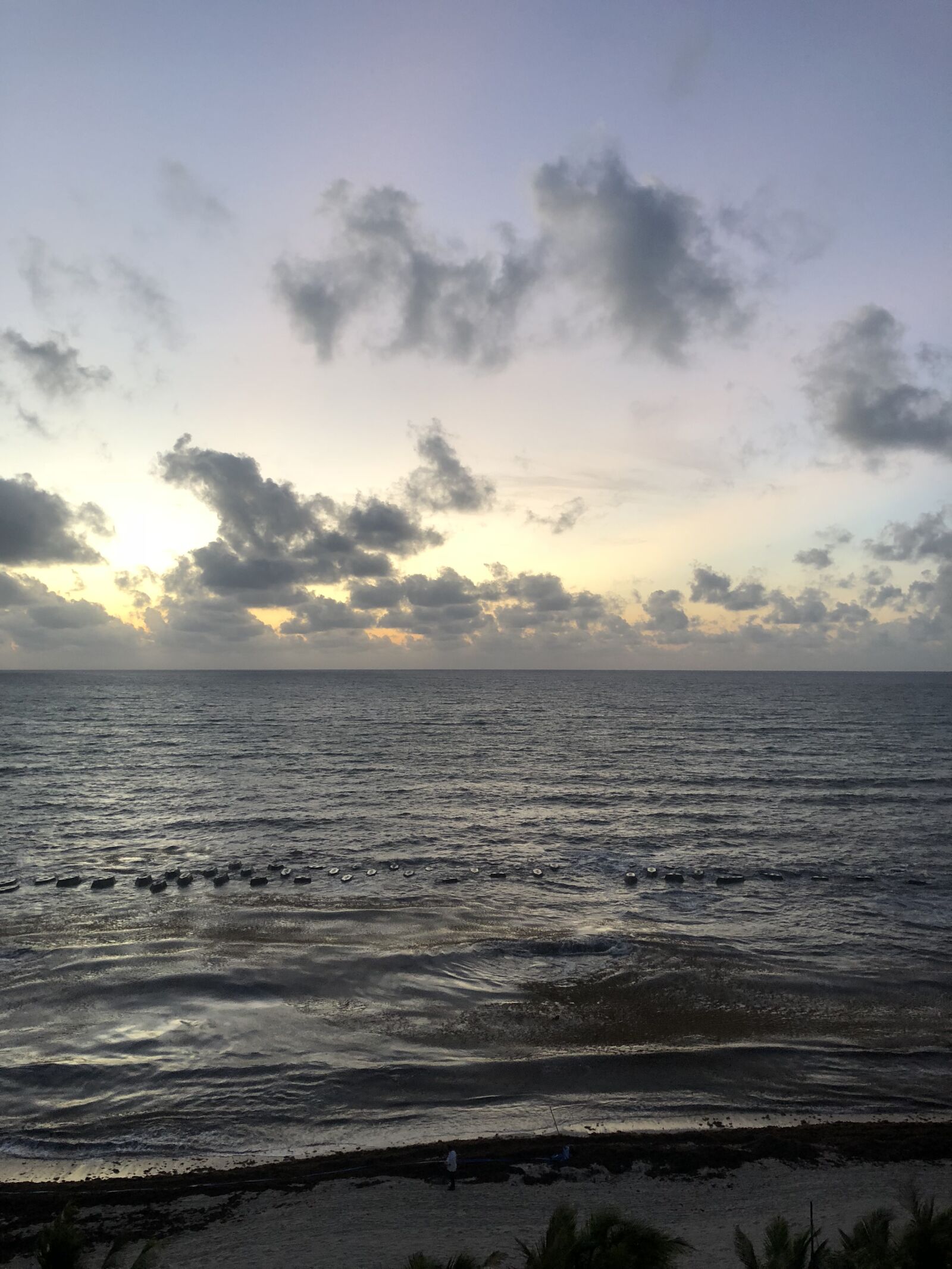 iPhone 8 back camera 3.99mm f/1.8 sample photo. Playa del carmen, cozumel photography