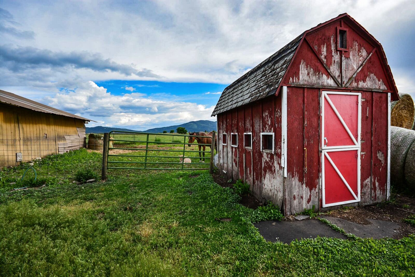 Nikon D5200 sample photo. Barn, old, horse photography