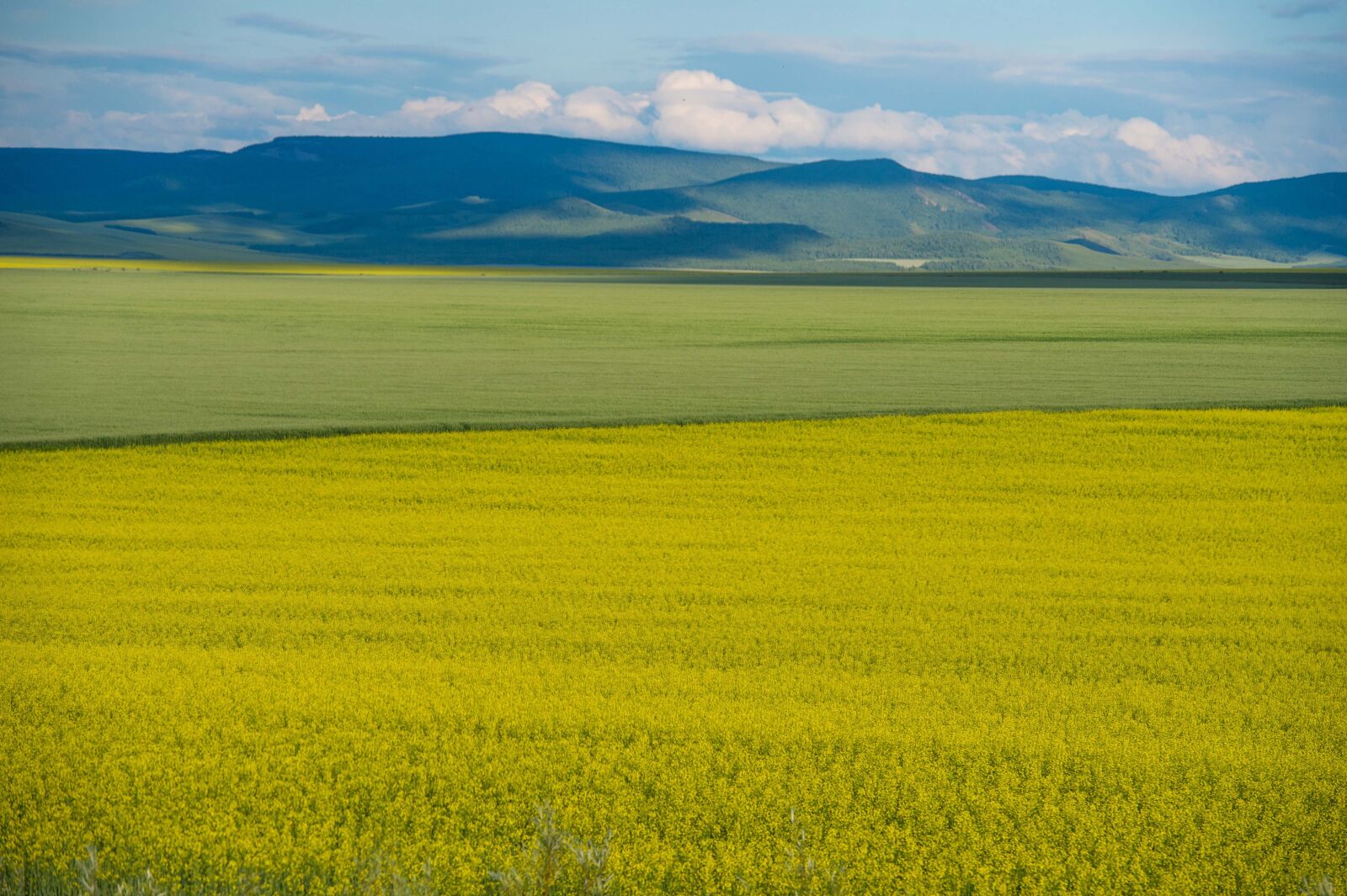 Nikon D4 sample photo. China, inner mongolia, scenery photography