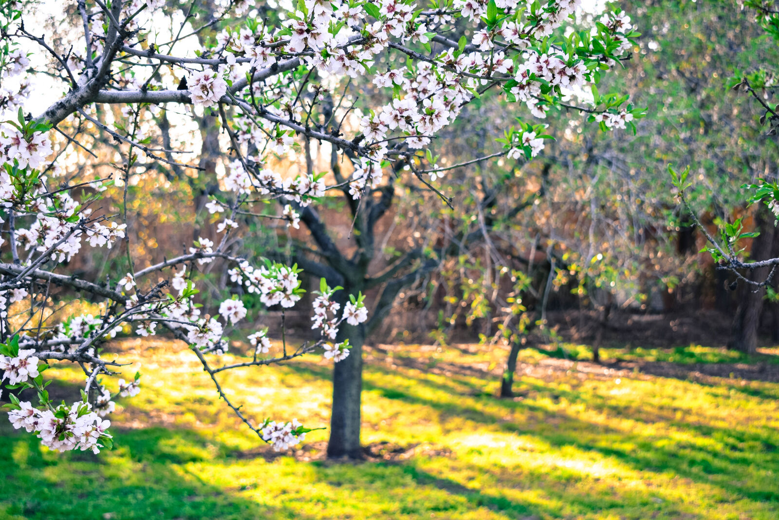 Nikon D3300 sample photo