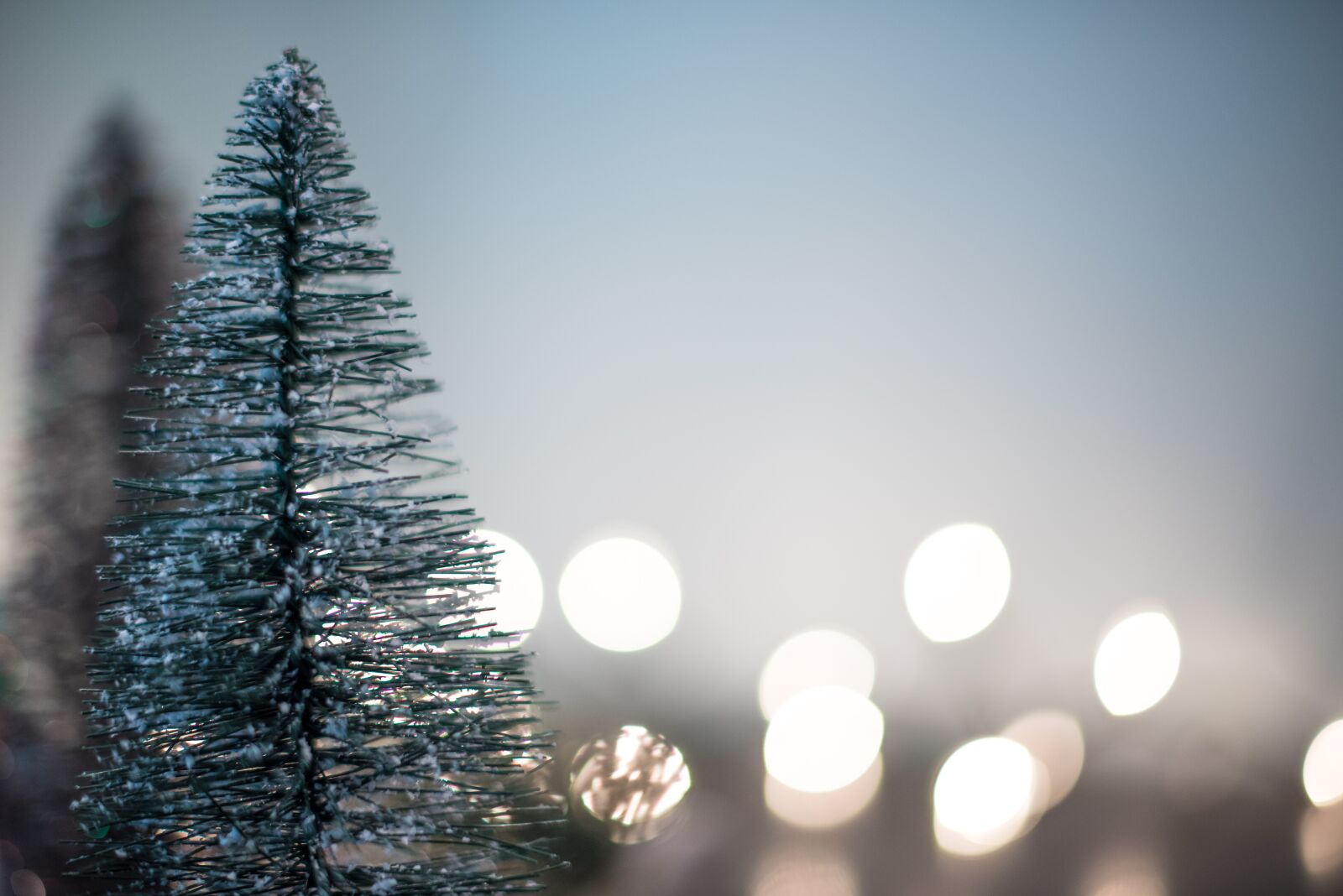 Nikon D750 sample photo. Abstract, blur, bright photography