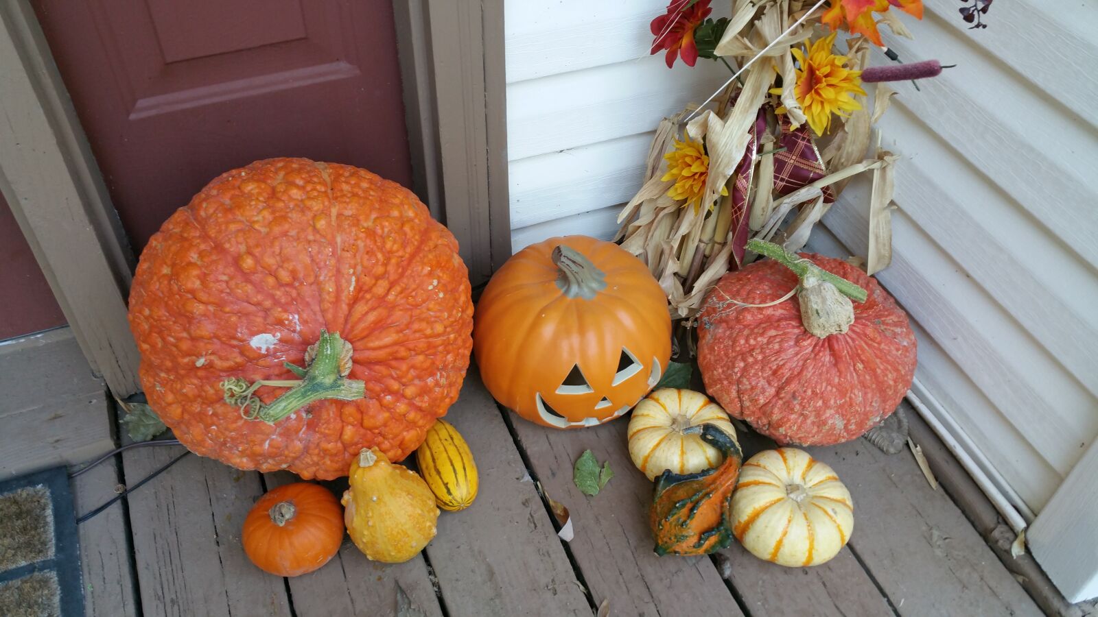 Samsung Galaxy Note4 sample photo. Pumpkins, fall, autumn photography