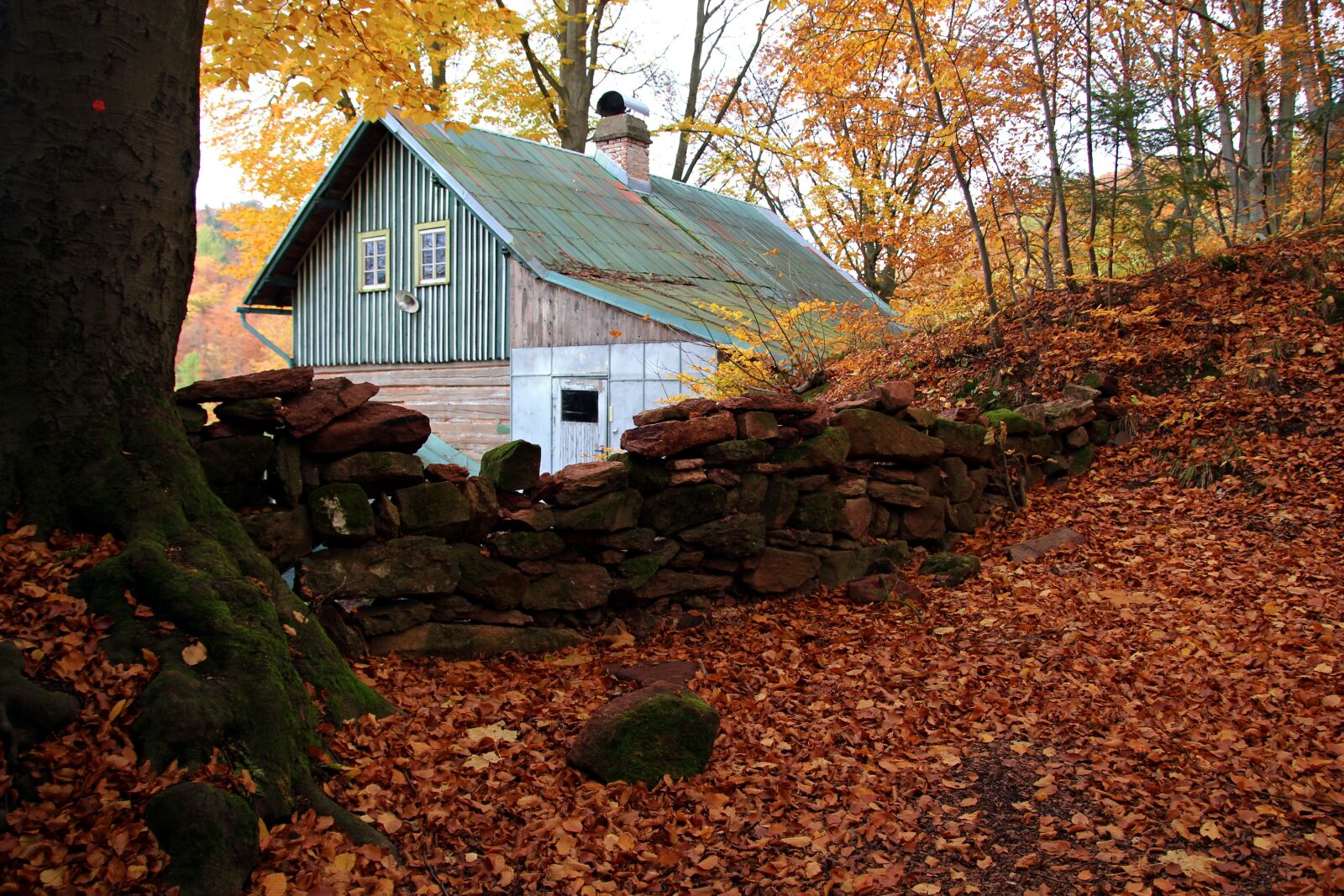 Canon EOS 550D (EOS Rebel T2i / EOS Kiss X4) sample photo. Autumn, cottage, forest photography