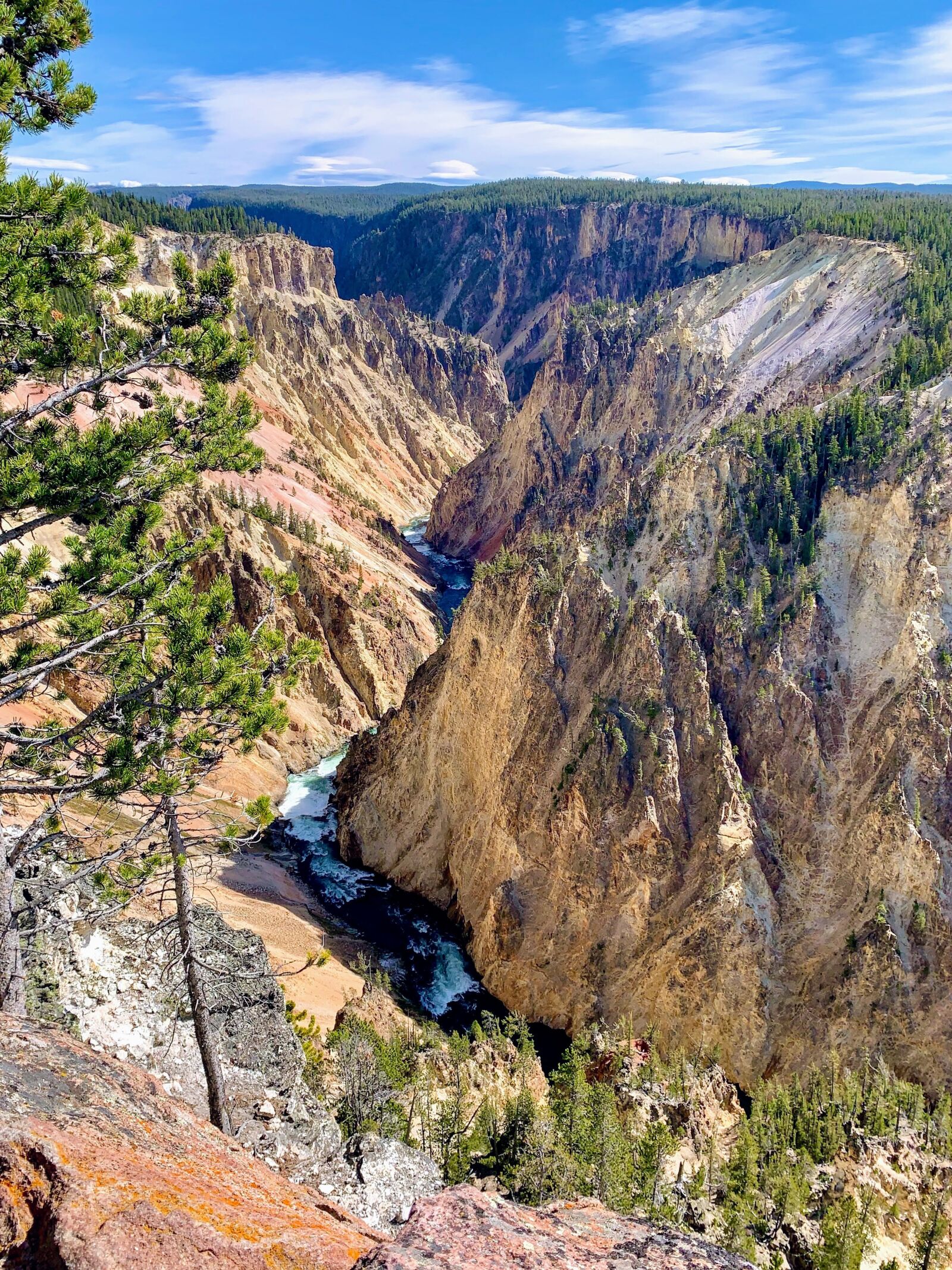 Apple iPhone XS sample photo. Yellowstone, park, nature photography