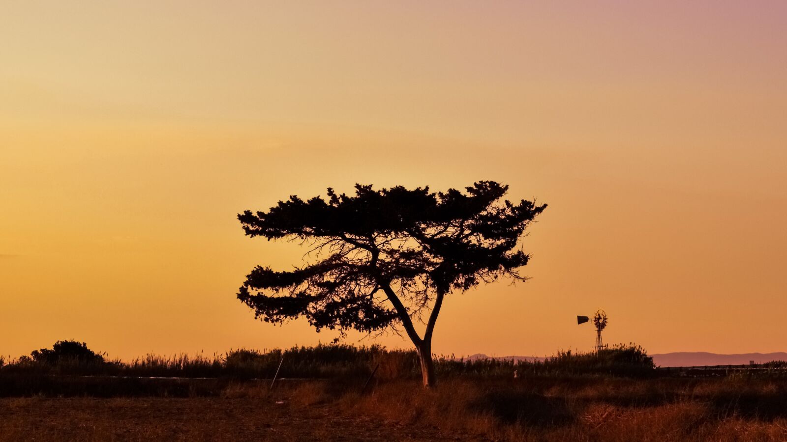 Nikon D3300 sample photo. Tree, sunset, landscape photography