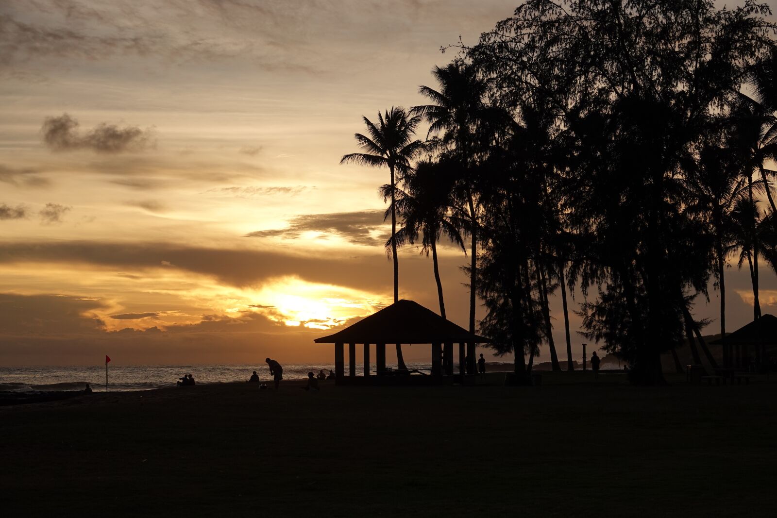 Sony Cyber-shot DSC-RX10 IV sample photo. Hawaii, sunset, palm trees photography