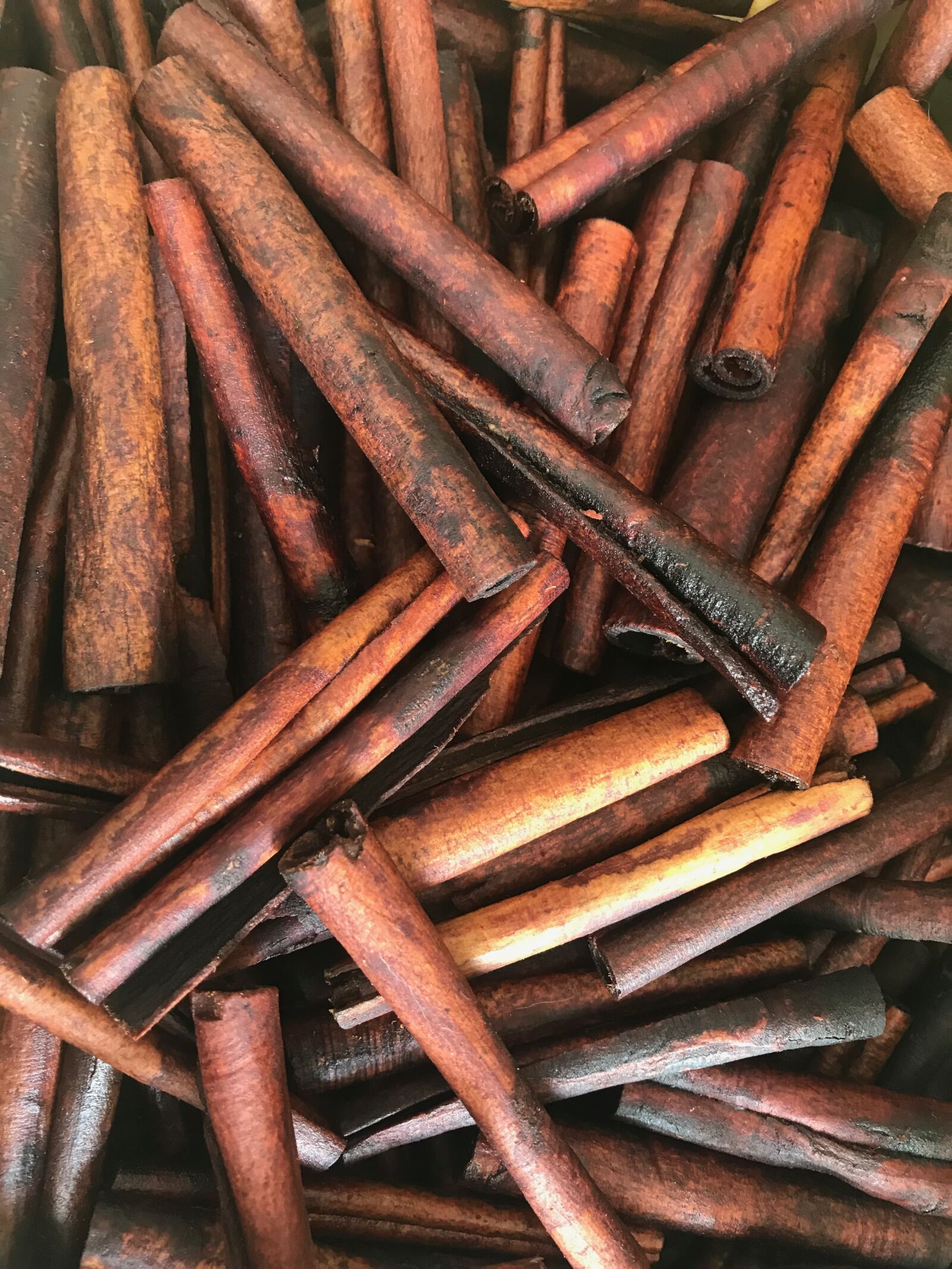 Apple iPhone 7 sample photo. Cinnamon, flor, torino photography