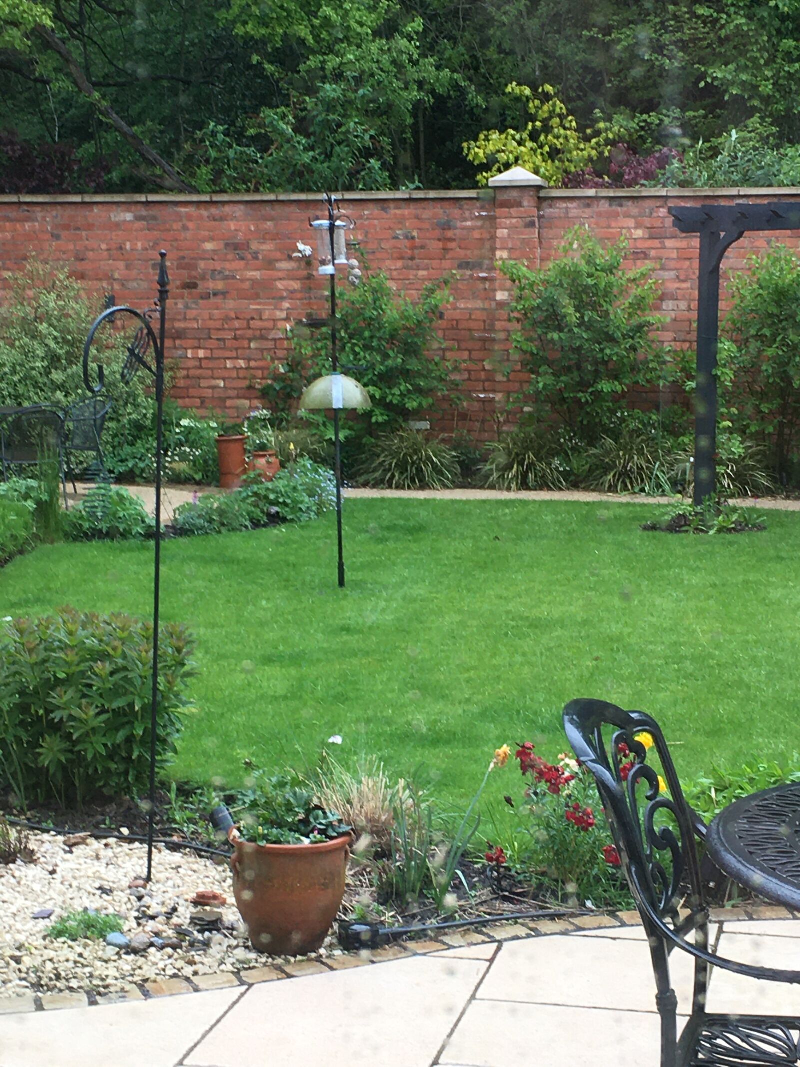 iPhone 6s back camera 4.15mm f/2.2 sample photo. Garden, lawn bird feeder photography