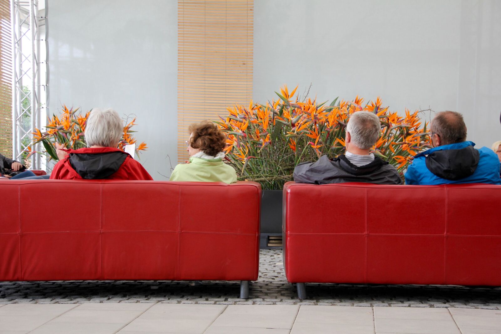 Canon EOS 60D sample photo. Visitors sofa, visitors, see photography